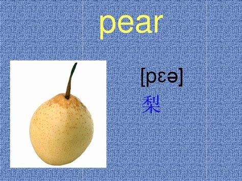 详细阅读:apple英语-apple英语格式怎么写 apple英语-apple英语格式怎么写