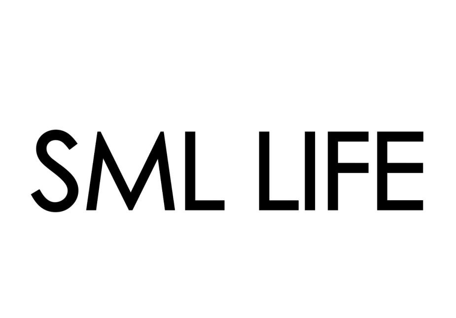 sml币-字母圈项目接受表
