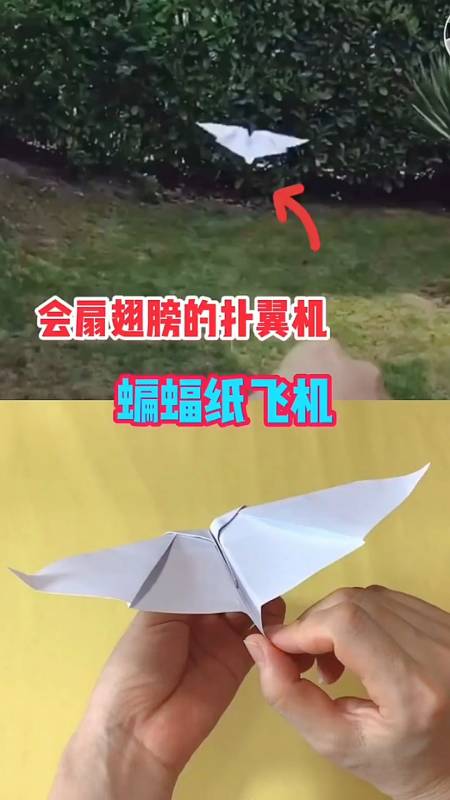 纸飞机参数2022-纸飞机telegeram官网入口