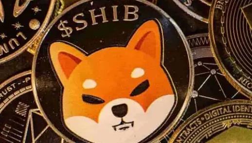 屎币涨了160万倍-屎币涨了160万倍能提现吗