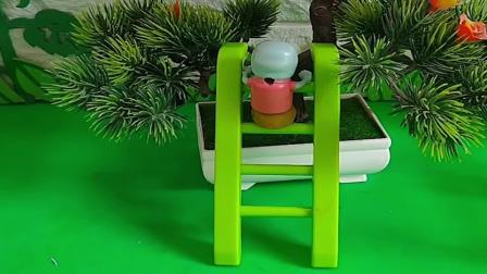 现在苹果有哪些梯子能用-现在苹果有哪些梯子能用的