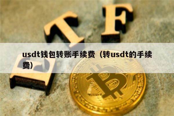 usdT钱包是什么意思-usdt存在钱包哪个种类里
