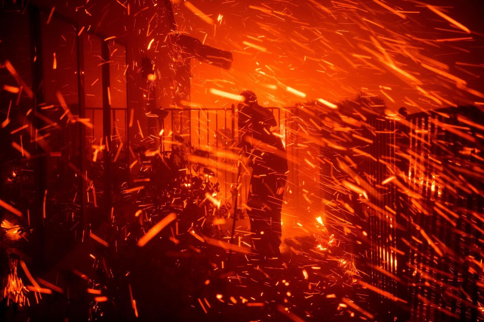 evacuated-Evacuated 翻译