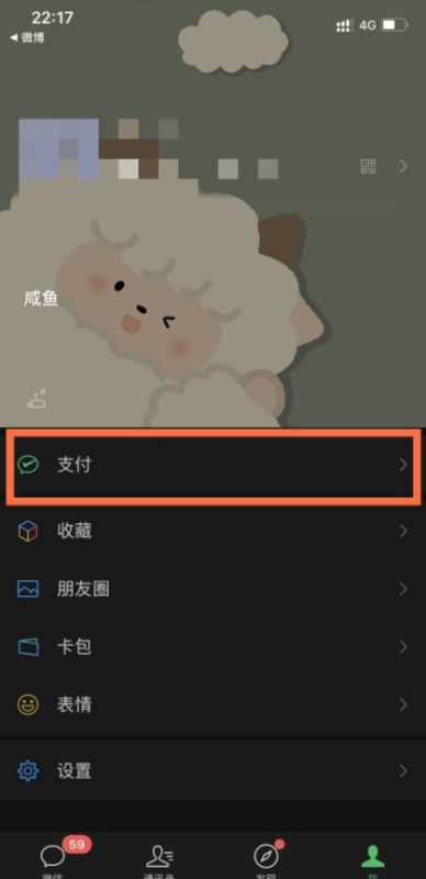 苹果钱包怎么支付-苹果钱包怎么支付公交