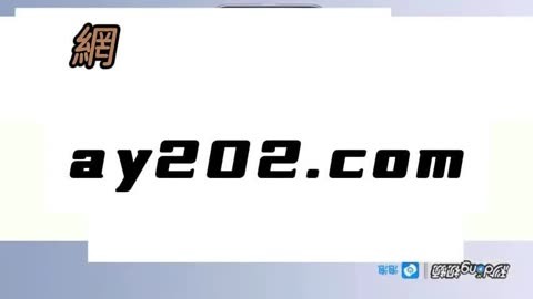 纸飞机app官网最新版本的简单介绍