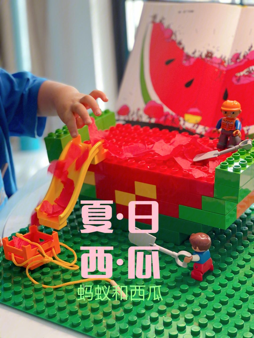 蚂蚁梯子官网-蚂蚁梯子怎么用