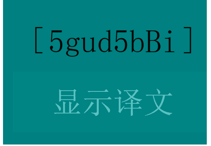 详细阅读:中文→英文-中文→英文互译 英汉 中文→英文-中文→英文互译 英汉