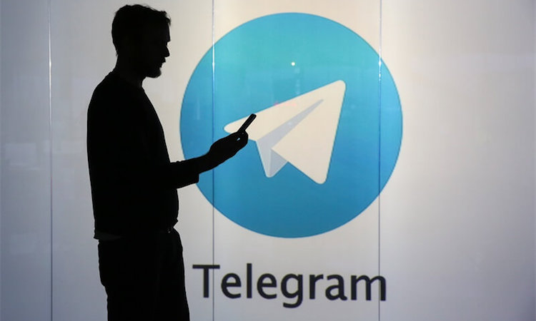 telegraphs-telegraph收不到短信验证码