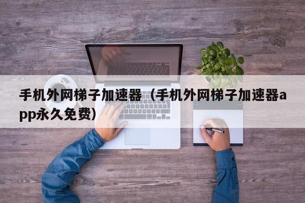 各种网络加速器与梯子-加速器跟梯子有什么区别