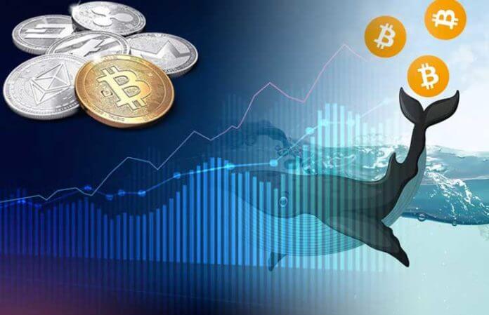 加密货币defi-加密货币的未来趋势