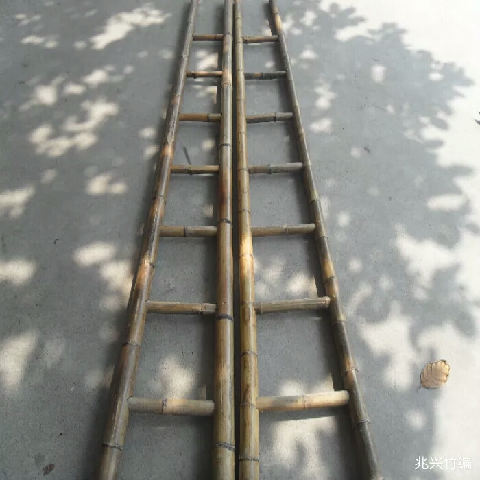 免费的梯子百度知道-免费的梯子软件有哪些