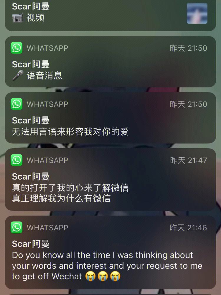 whatsapp怎么中英文互译-whatsapp怎么能中英文翻译