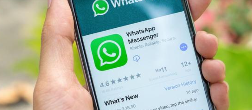 whatsapp官网免费下载安卓版-whatsapp官方网站 下载安卓版