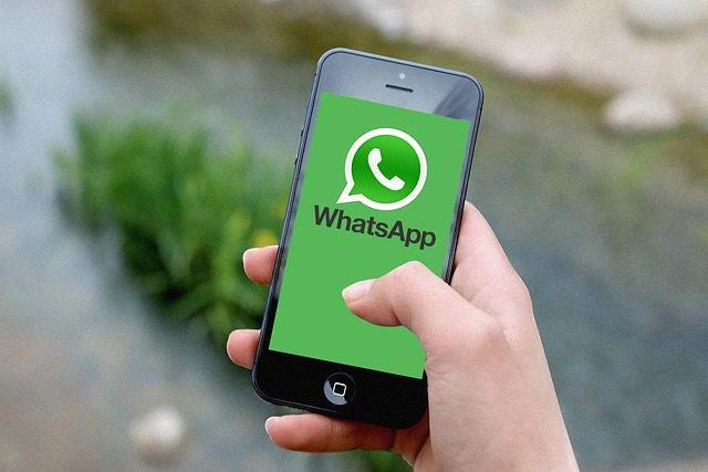 whatsapp中文官网-whatsapp官网中文版