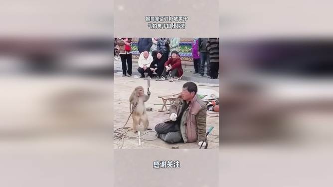 详细阅读:电报猴口吐芬芳原视频-花果山电报猴无消音原视频 电报猴口吐芬芳原视频-花果山电报猴无消音原视频