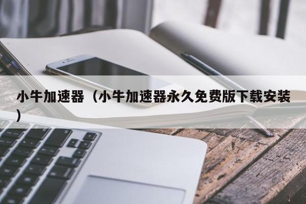 免费梯子加速器2022-免费梯子加速器永久免费版不需要会员