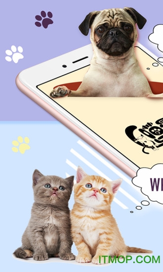 包含downloadimoapkforandroid的词条