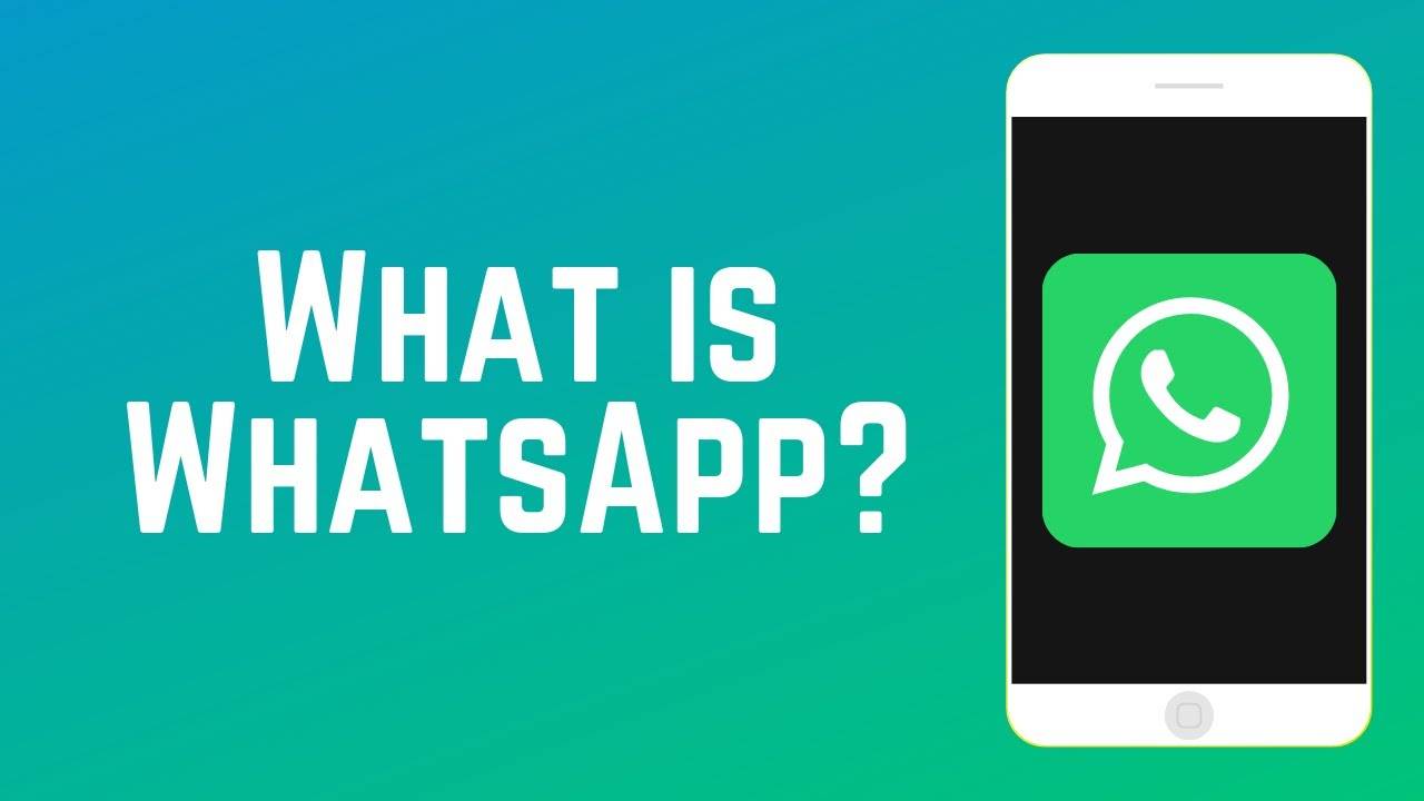 关于怎么在whatsapp上添加好友的信息