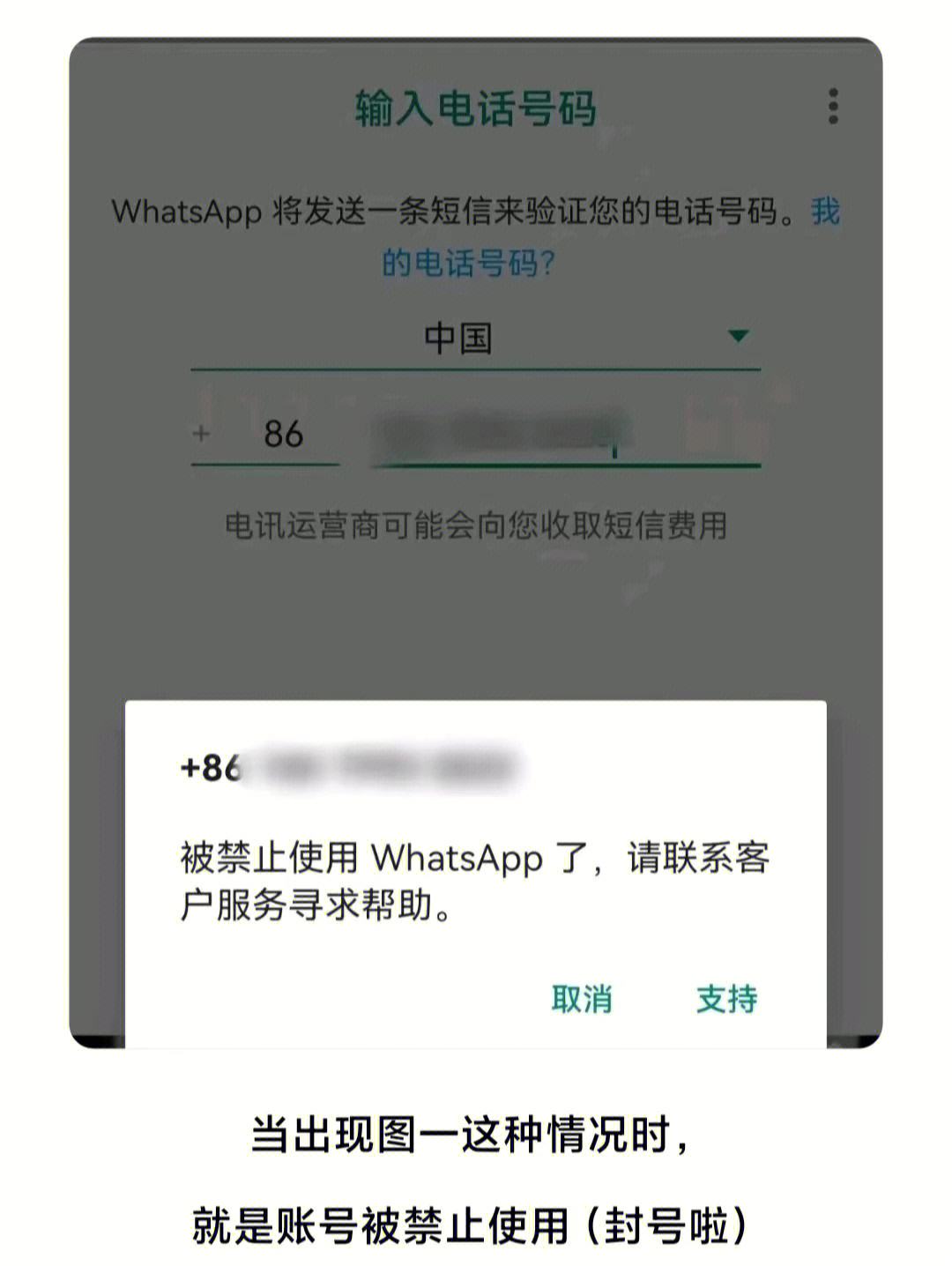 whatsapp图片怎么保存到相册-如何让whatsapp的图片自动存在手机里