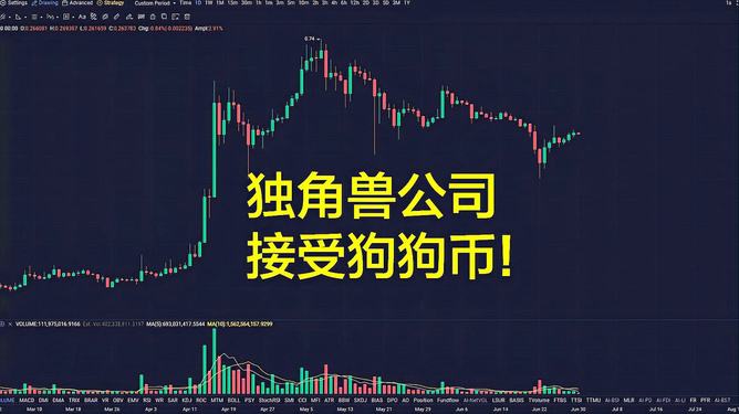 狗狗币钱包在哪-狗狗币官方钱包教程