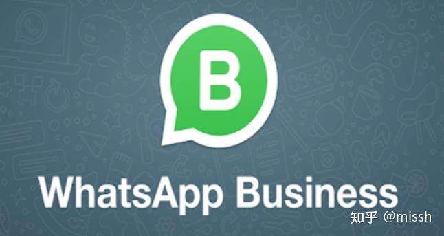 whatsapp有中文版本吗-whatsapp english version
