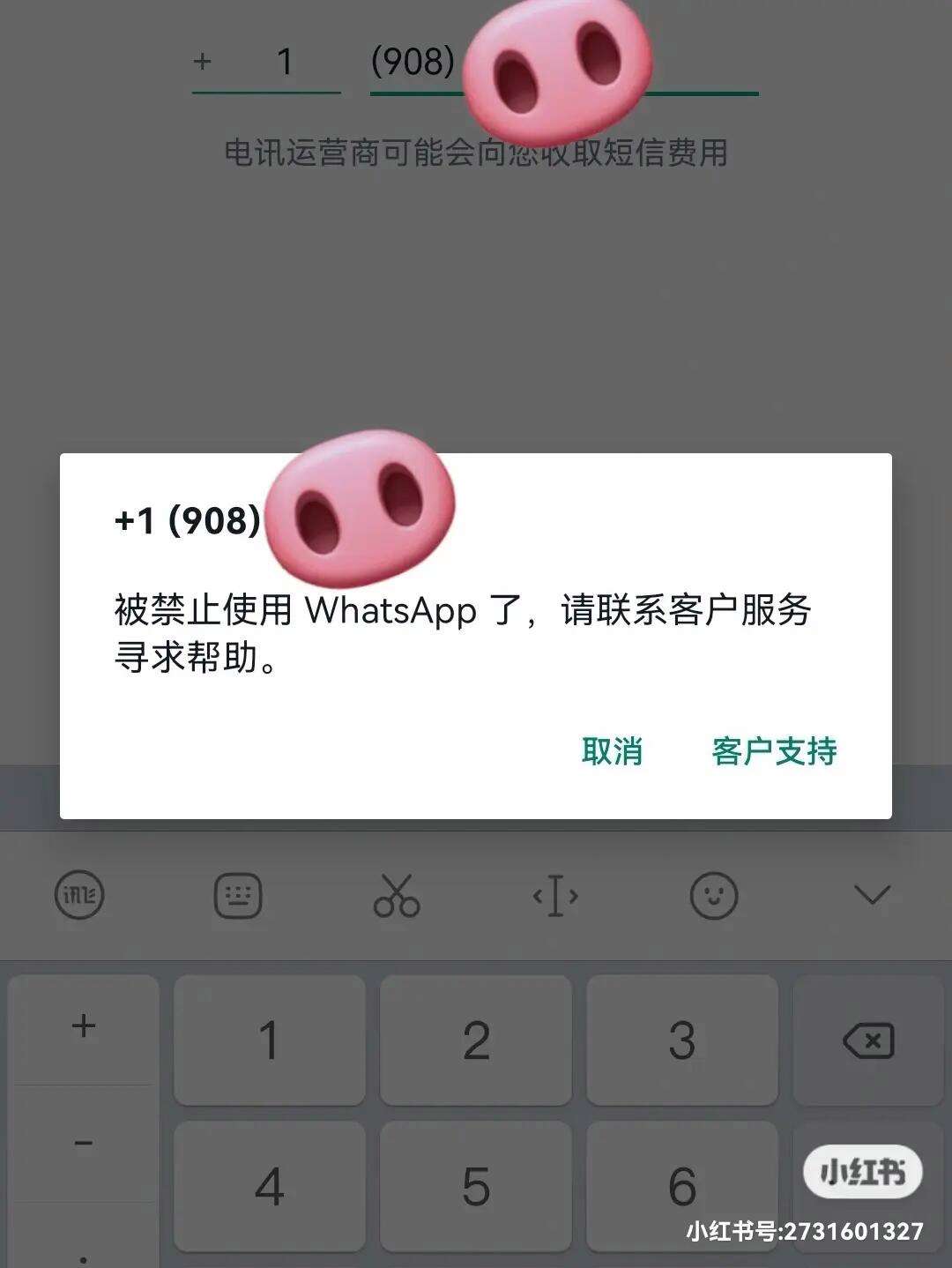 官方whatsapp下载不了-whatsapp官方网下载打不开