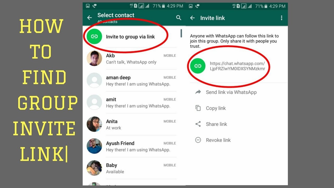 whatsapp官方下载-Whatsapp官方下载苹果