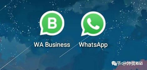 whatsappbusiness安卓版下载-whatsappbusiness安卓下载安装