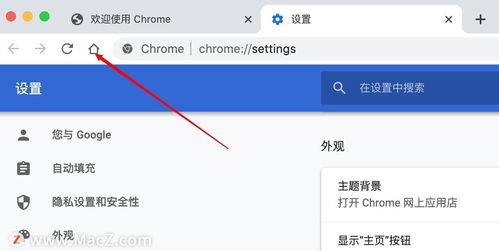 苹果纸飞机聊天软件怎么注册-苹果纸飞机聊天软件怎么注册账号?