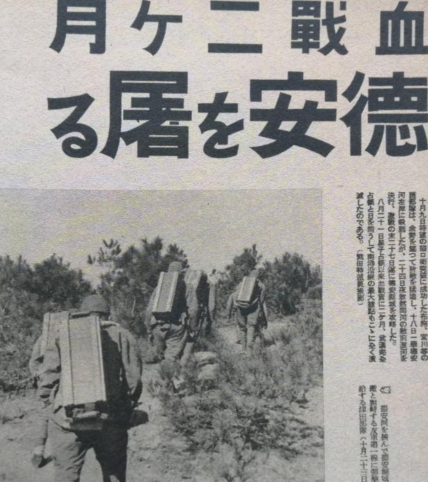 骂人的电报-骂人的电报声音从哪找?