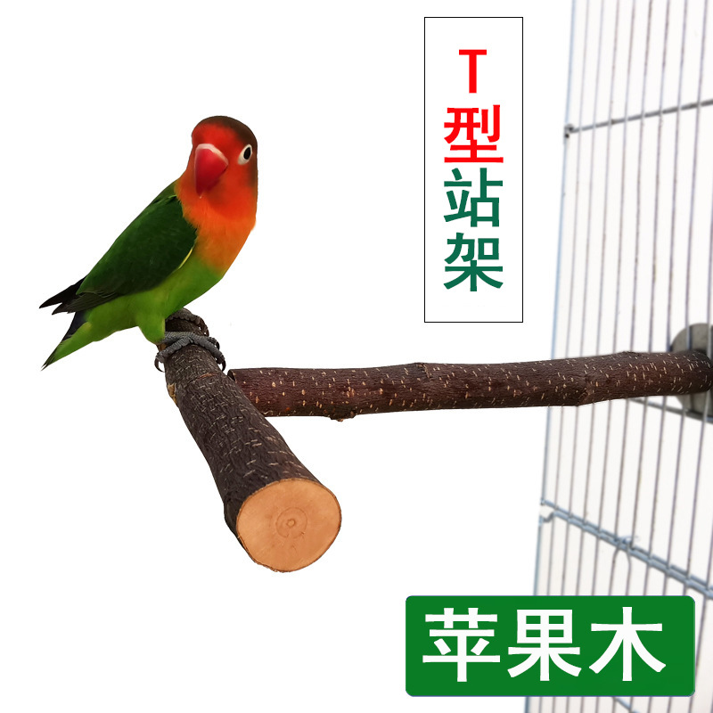 苹果用的梯子免费-iphone梯子免费