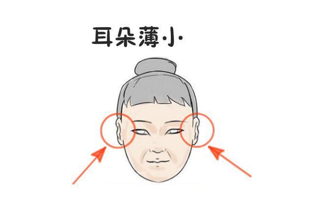 详细阅读:耳朵里有发电报的声音-一说话耳朵里有发电报的声音 耳朵里有发电报的声音-一说话耳朵里有发电报的声音