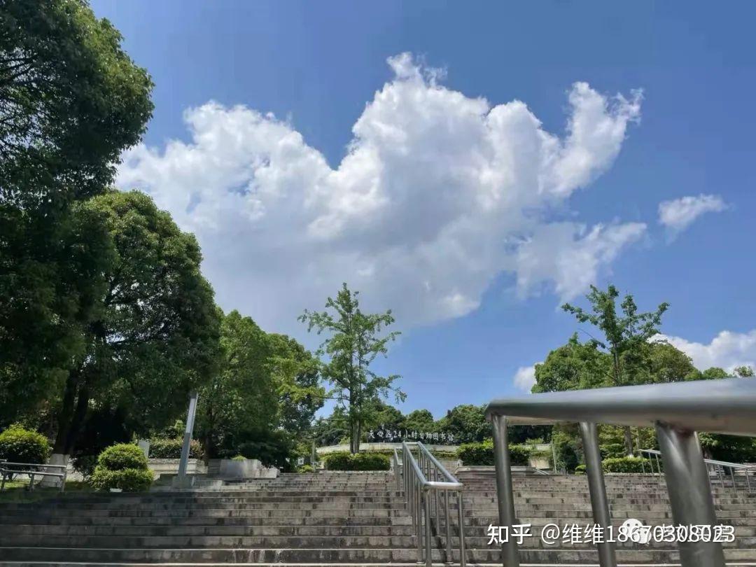 手机免费梯子知乎-手机免费梯子哪个好用