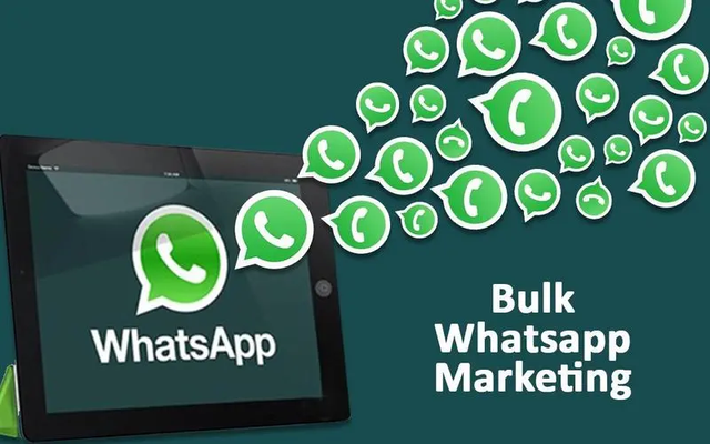 whatsapp怎么念-whatsapp怎么读英语发音