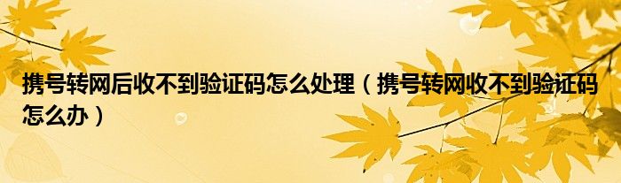 验证码找不到怎么办-收不到验证码怎样解决