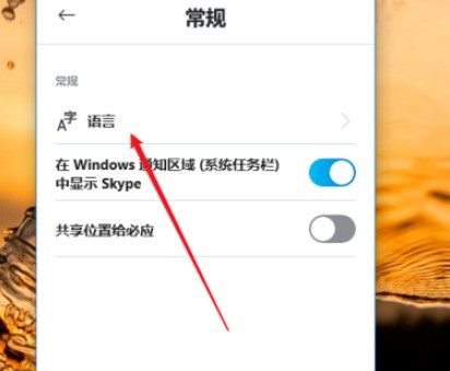 联想skype可以卸载吗-win10中skype可以卸载吗