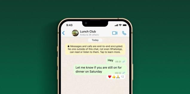 whatsapp无法送达对方手机-whatsapp我们无法发送sms短信