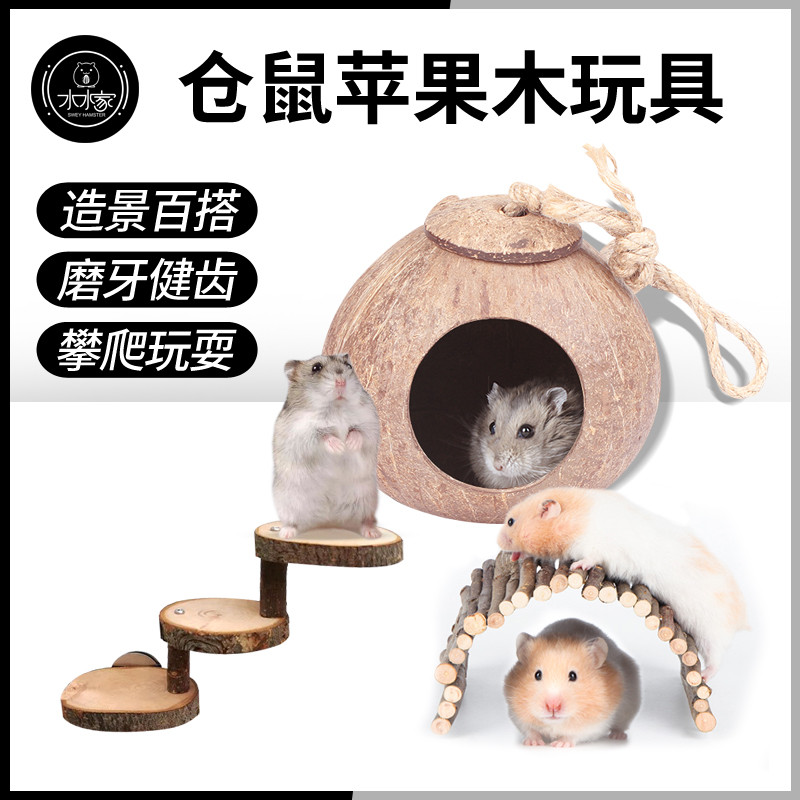 苹果可用免费梯子-苹果手机用的免费梯子