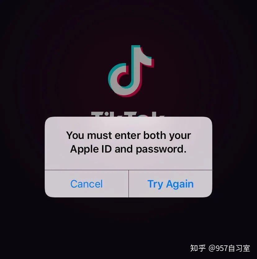 tiktok国际版网页入口-tiktok国际版官网版下载v18