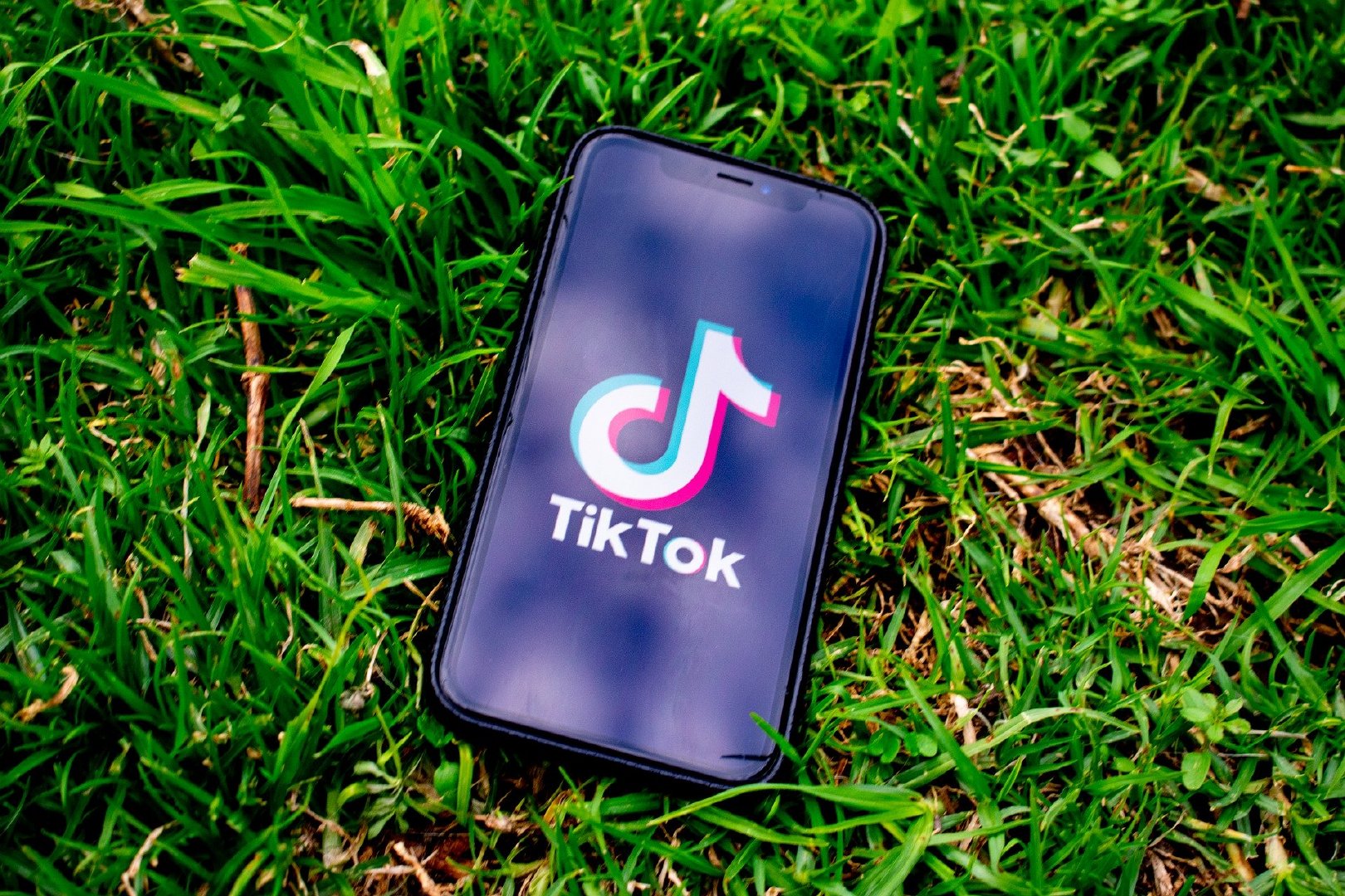 tiktok国际版网页入口-tiktok国际版官网版下载v18