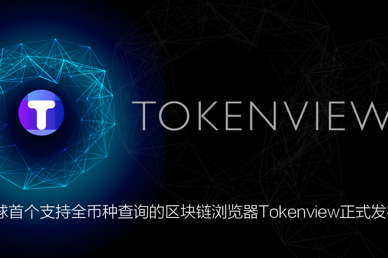 tokenview区块链浏览器-usdttokenviewcom