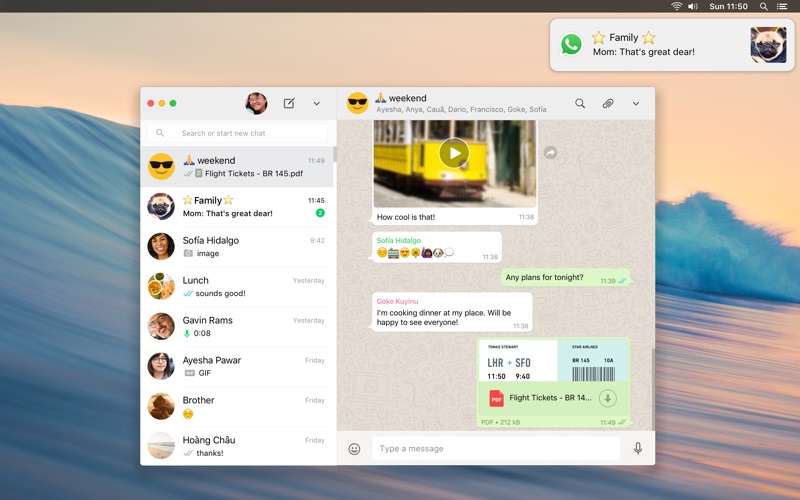 详细阅读:whatsapp官网网址,whatsappbusiness官网 whatsapp官网网址,whatsappbusiness官网