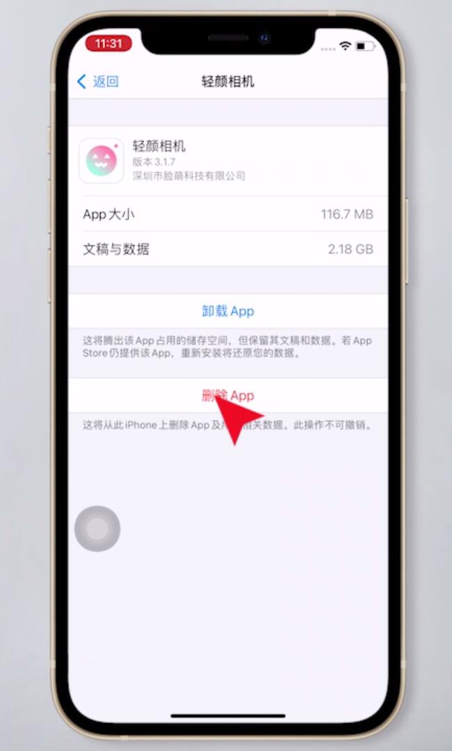telegram为什么会闪退，telegram最新版本2024会一直闪退