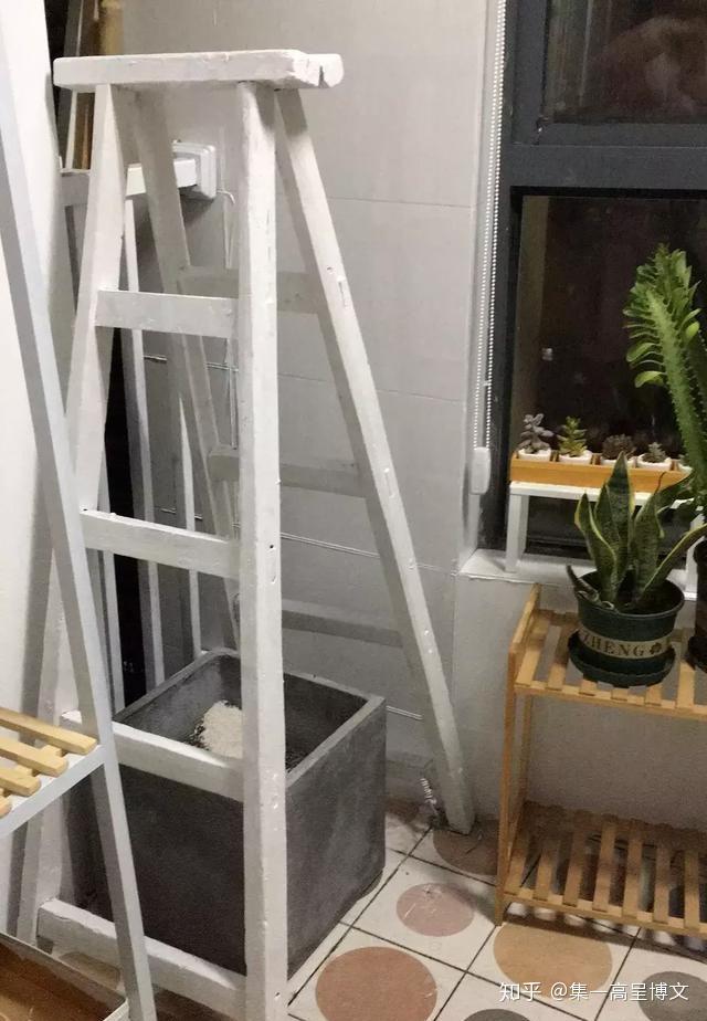 上外网用的梯子推荐知乎的简单介绍