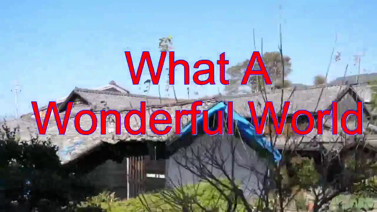 what中文怎么说，what中文怎么写?