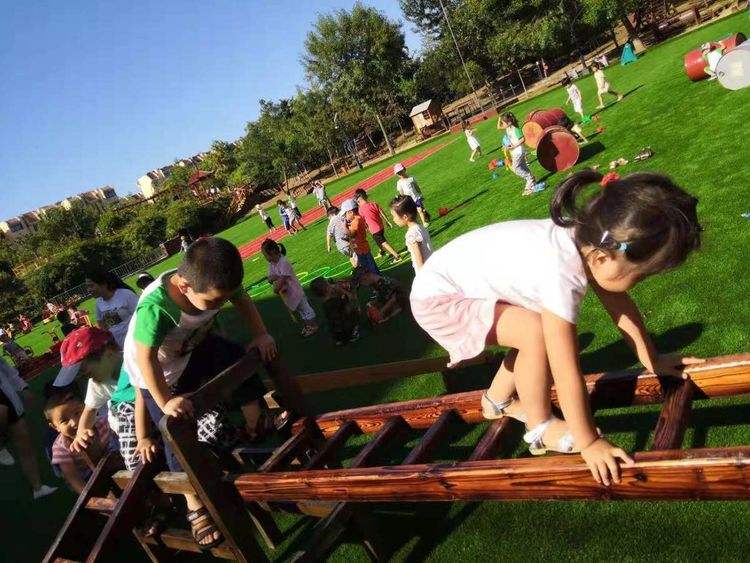 玩安吉梯子的图画，玩安吉梯子的图画大全