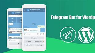 telegreat官网客服，telegram怎么联系客服