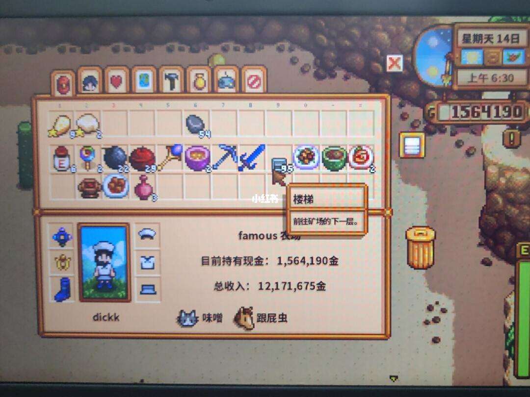 梯子游戏银河，梯子游戏网站进入