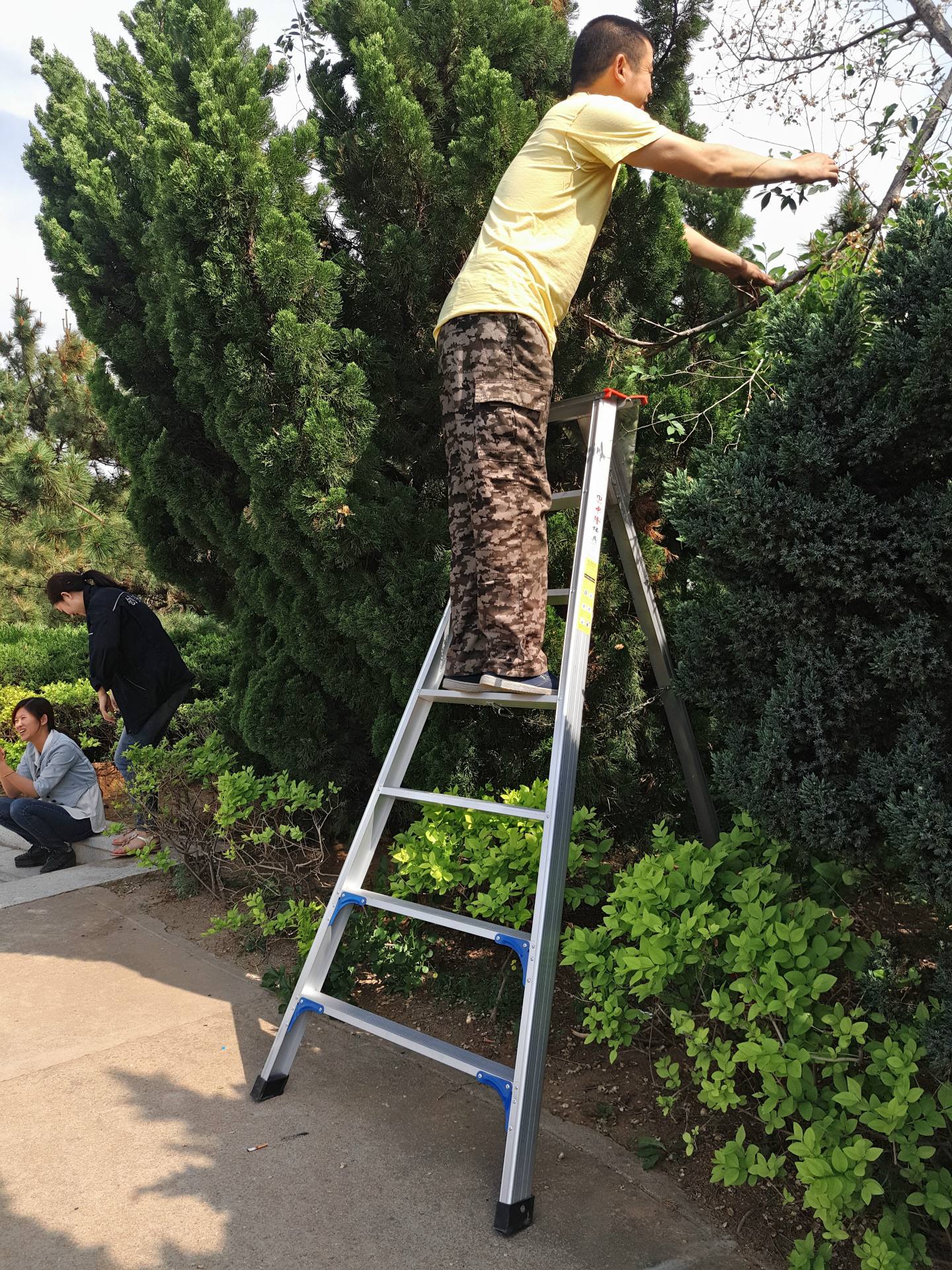 苹果用什么梯子好用，苹果用什么梯子好用一点
