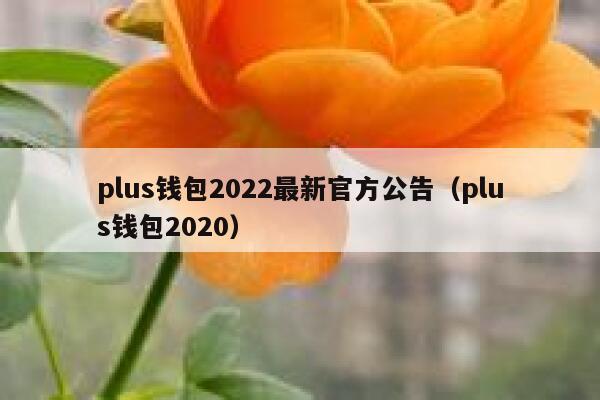 plustoken最新官网，plus token最新官网